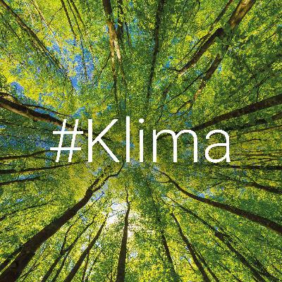 Von Null auf Plus: Warum Interface mehr will als Klimaneutralität Von Null auf Plus: Warum Interface mehr will als Klimaneutralität