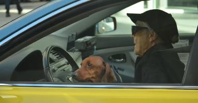 Al volante dopo gli 80