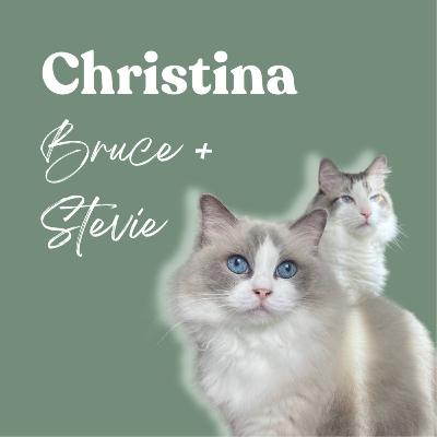 Two Craigslist Cats, One Astral Mom: A Ragdoll Soul Pet Story Two Craigslist Cats, One Astral Mom: A Ragdoll Soul Pet Story