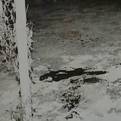 49.村委会主任险被灭门，十年艰难追凶，微博竟成破案关键