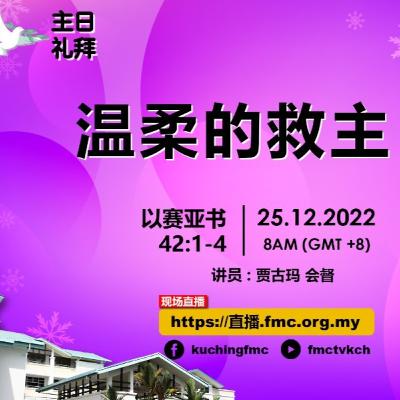 #22-53 : 温柔的救主
