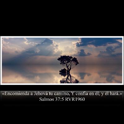 Promesas Promesas