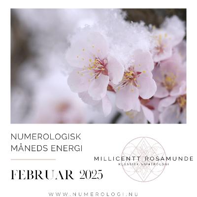2025 | Numerologisk energi i februar måned i år 2025 2025 | Numerologisk energi i februar måned i år 2025