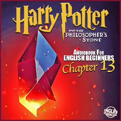 HP 13