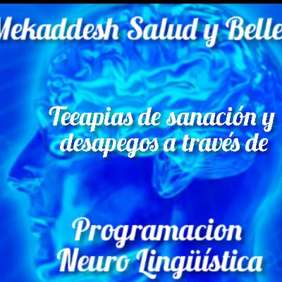 Programación Neurolingüística 1a parte Programación Neurolingüística 1a parte
