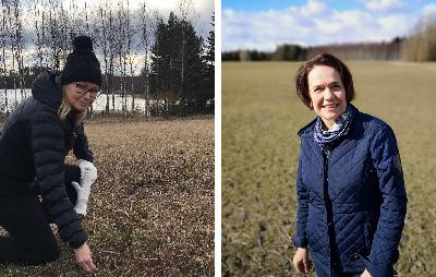 Lannan täydennyslannoitus viljoille ja nurmille