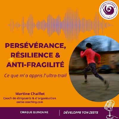 Persévérance, résilience et anti-fragilité - ce que m'a appris l'ultra-trail