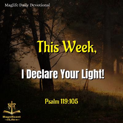 This Week, I Declare Your Light!