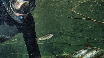 S2 Ep. 10: Trout, Steelhead, and Salmon with John McMillan S2 Ep. 10: Trout, Steelhead, and Salmon with John McMillan