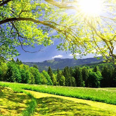 Yoyo诗文 闺怨 王昌龄