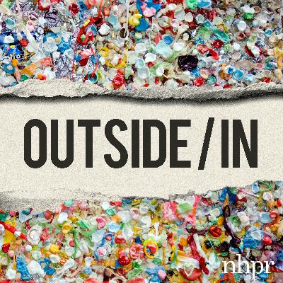 The Microplastics Cleanse