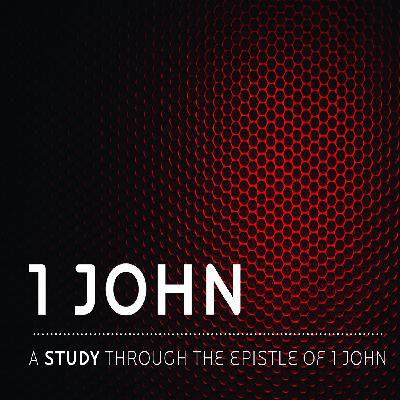 1 John 2:28-29