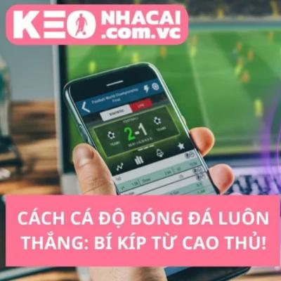 Cách Cá Độ Bóng Đá Thắng Lợi Bền Vững Cách Cá Độ Bóng Đá Thắng Lợi Bền Vững
