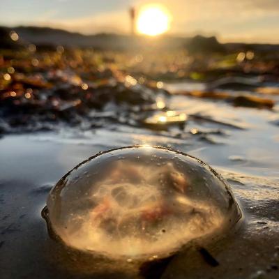 Phantasiereise zum Meer