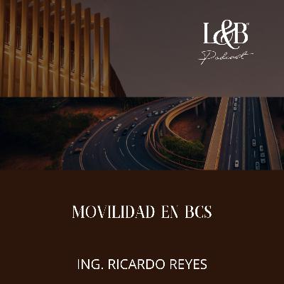 MOVILIDAD EN BCS
