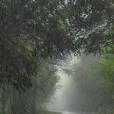 10 horas de lluvia y truenos relajantes para dormir profundamente