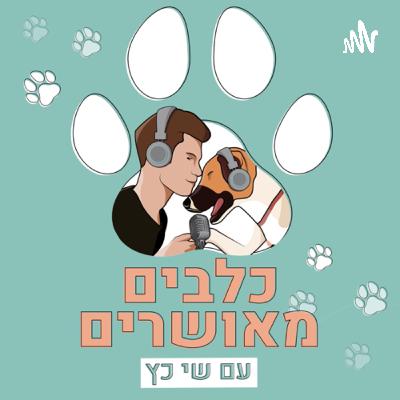 עונה 1️⃣ פרק 4️⃣ -חיבה: איך ומתי 🤎