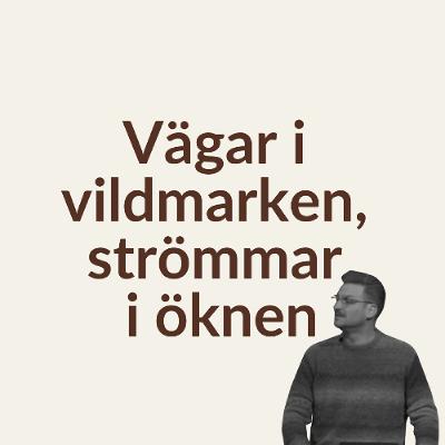 Gudstjänst: "Vägar i vildmarken, strömmar i öknen" - 23/11