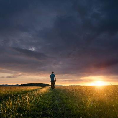 Hayei Sarah: Noticing Others