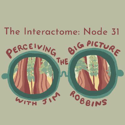 Episode 31: Perceiving the Big Picture