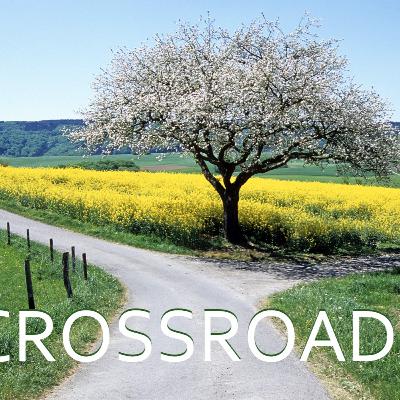 Crossroads - Lesson 19 (08 26 2024) Crossroads - Lesson 19 (08 26 2024)