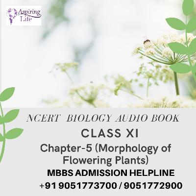 NCERT Class XI Biology-Chapter-5 (Morphology of Flowering Plants)
