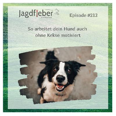 P212: So arbeitet dein Hund auch ohne Kekse motiviert P212: So arbeitet dein Hund auch ohne Kekse motiviert