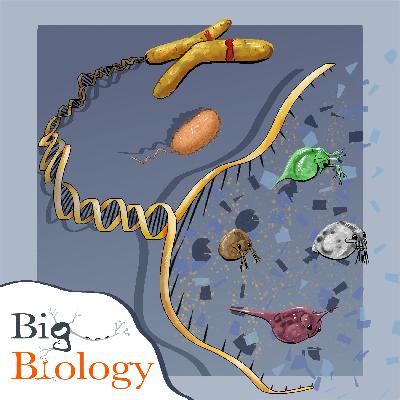 Evolution across scales (Ep 139)