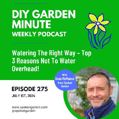Watering The Right Way – Top 3 Reasons Not To Water Overhead - DIY Garden Minute