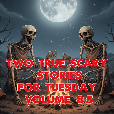 Two Scary Stories For Tuesday Volume 86