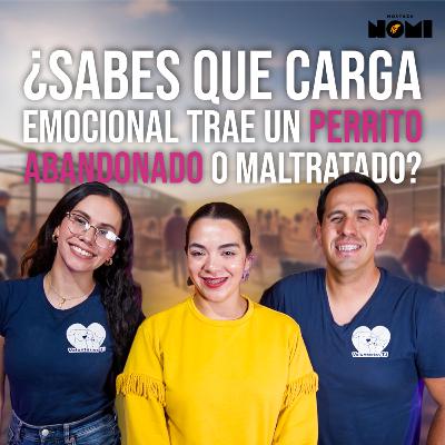 Voluntarios TJ! Se parte de la solución ✨🐶