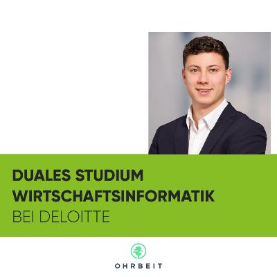 Wirtschaftsinformatik zwischen Theorie und Praxis