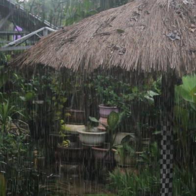 Relaksasi Suara Hujan dan Petir di Pedesaan Bali