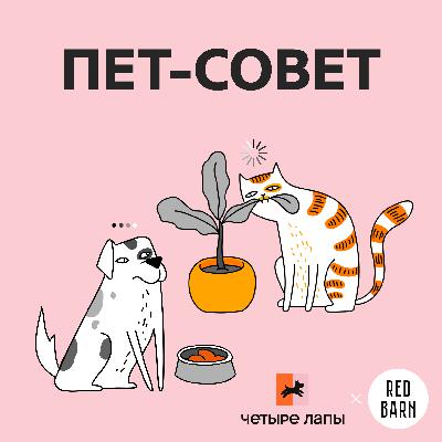 Голодными не останутся. Переходим на отечественные корма для кошек и собак