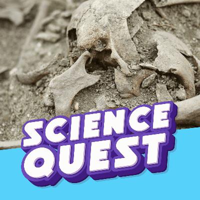 VAMPIRE MYSTERY: Archaeologists Examine a Strange Burial🧛‍♂️🦴