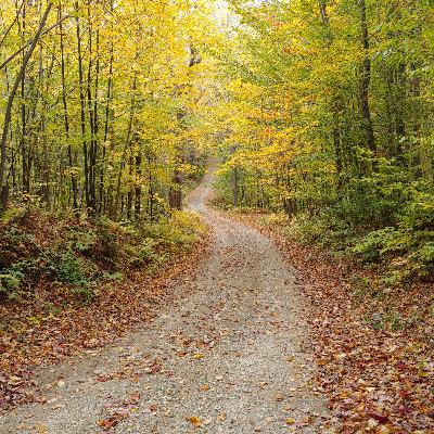 Chaosology 8 trenton.mp3