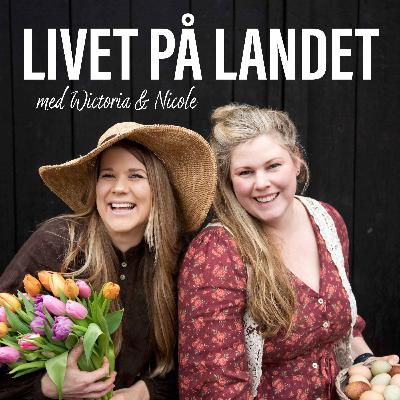 Avsnitt 4 - Det stora blomsteravsnittet
