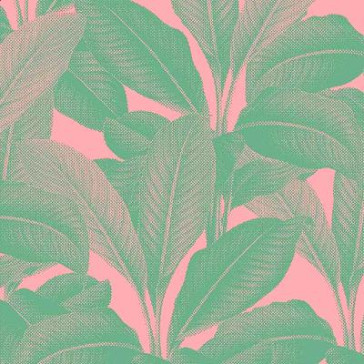 014 — o livro do figo