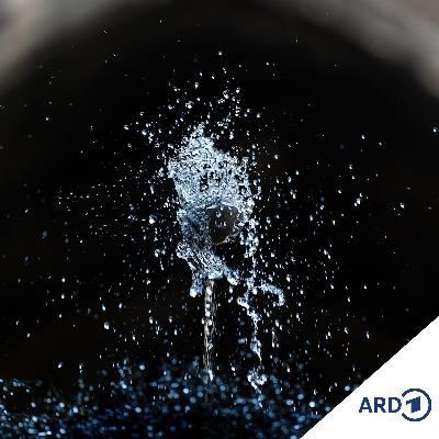 Alles im Fluss? Wasser in den Religionen