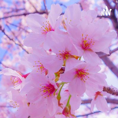 CUERPO SANO , VIDA SANA CUERPO SANO , VIDA SANA