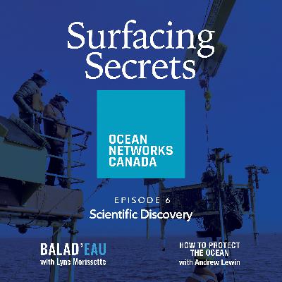 Surfacing Secrets - Episode 6 - Scientific Discovery