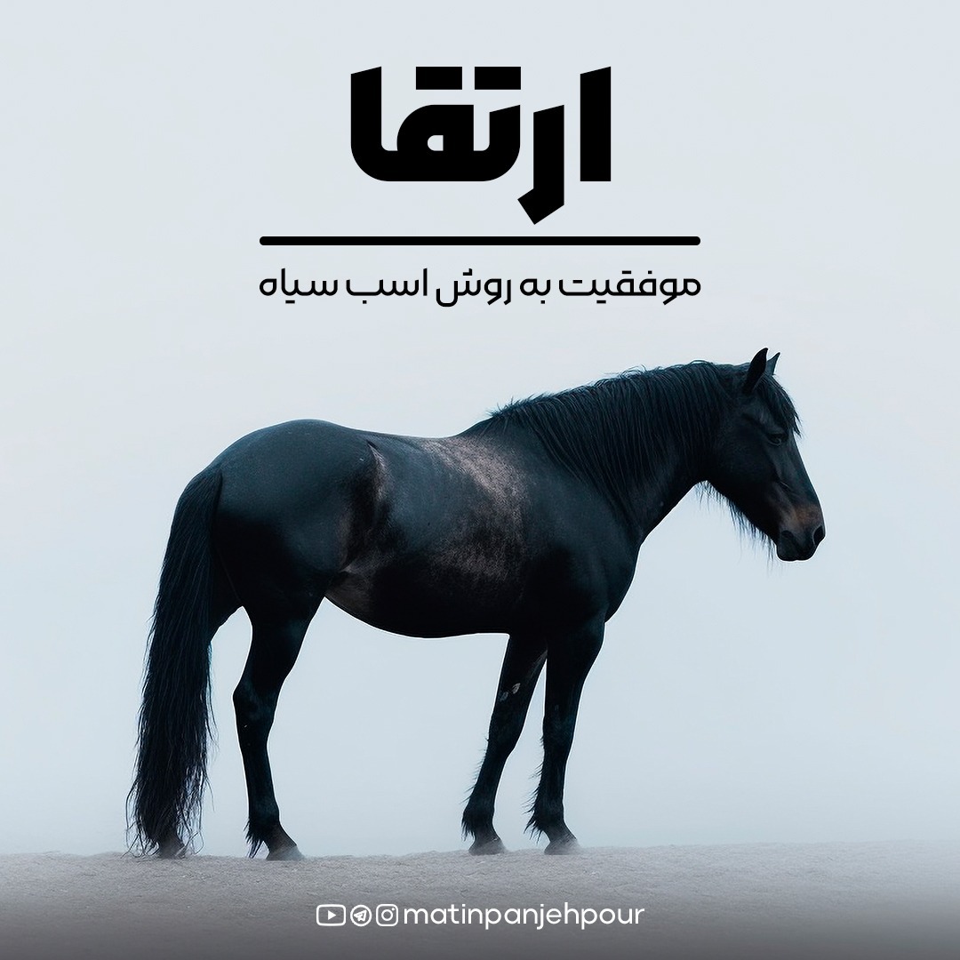 کتاب اسب سیاه | اثر تاد رز و اگی اگاس