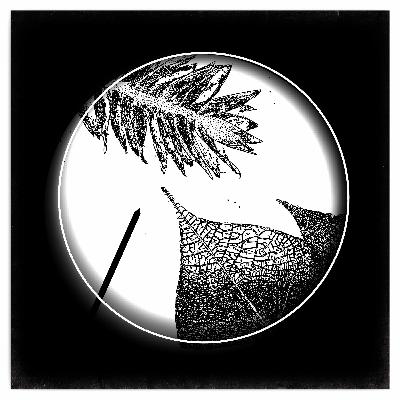 Episode 78: The Botanist