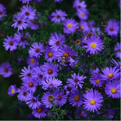 4: why I don’t believe in hustle culture 4: why I don’t believe in hustle culture