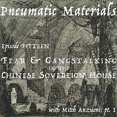 EPISODE FIFTEEN: FEAR AND GANGSTALKING IN THE CHINESE SOVEREIGN HOUSE WITH MITCH ANZUONI, PT 1 EPISODE FIFTEEN: FEAR AND GANGSTALKING IN THE CHINESE SOVEREIGN HOUSE WITH MITCH ANZUONI, PT 1