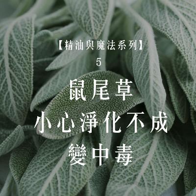 Ep.103【精油與魔法5】鼠尾草精油與更年期魔法:女巫的身體變化筆記 Ep.103【精油與魔法5】鼠尾草精油與更年期魔法:女巫的身體變化筆記