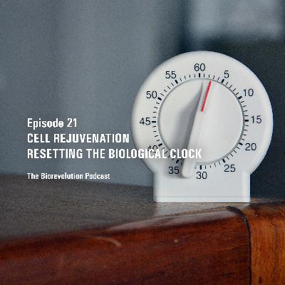 Cell rejuvenation – Resetting the biological clock