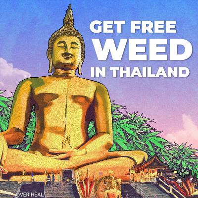 Woody Harrelson’s Hollywood Dispensary, Thailand’s Cannabis Plant Giveaway, & Vermont + Cannabis - Weekly Hit