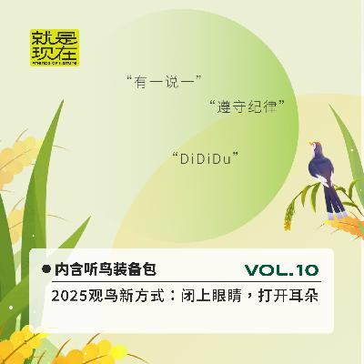 vol.10 2025年观鸟新方式：闭上眼睛，打开耳朵（内含听鸟装备包）
