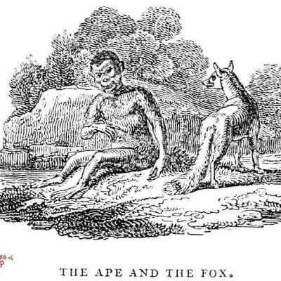 An Ape and a Fox An Ape and a Fox